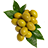 Olives